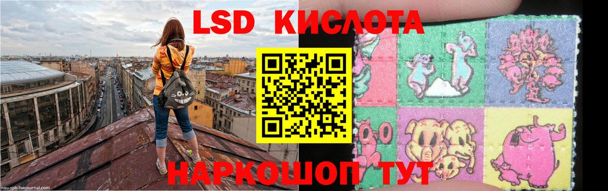LSD-25 экстази кислота  Вход с VPN  Новотроицк 