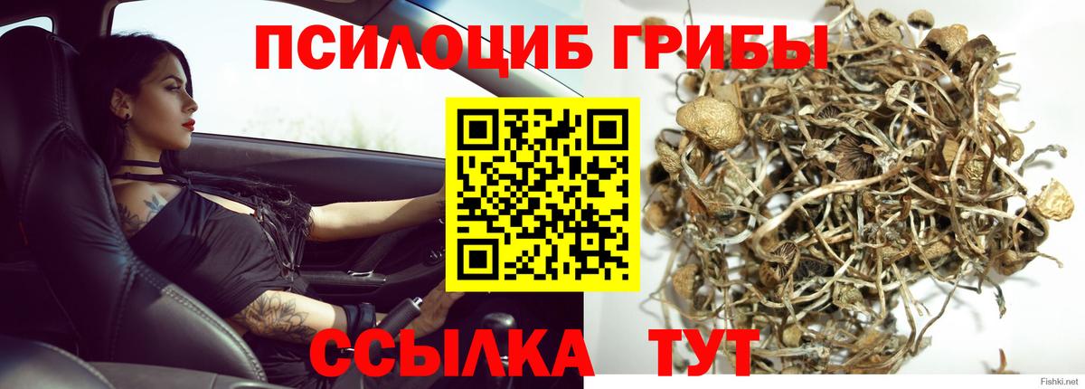 Новотроицк  Галлюциногенные грибы мухоморы  Вход с VPN  Галлюциногенные грибы Psilocybe 